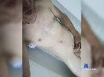Artem19c bongacams livecam show performer room profile