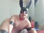 Aleksys87a bongacams livecam show performer room profile