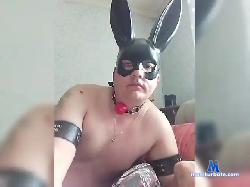 Aleksys87a bongacams live cam performer profile