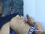 Barton4 bongacams livecam show performer room profile