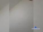 SuperBoy66a bongacams livecam show performer room profile