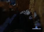 Artem228d bongacams livecam show performer room profile
