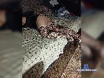 Ledytwix bongacams livecam show performer room profile