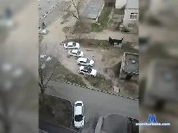 TolstoStas1 bongacams live cam performer profile