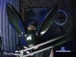 bunny-boy1 bongacams livecam show performer room profile