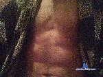 Introfan bongacams livecam show performer room profile