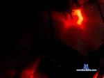 OVERFLEX47 bongacams livecam show performer room profile