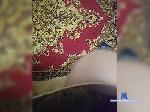 Andrew90v2 bongacams livecam show performer room profile