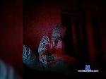 CamDuoLovers bongacams livecam show performer room profile