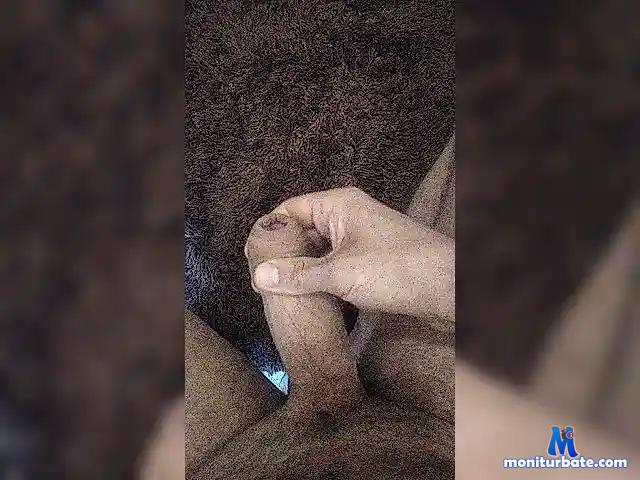 Ligalize99 bongacams performer male