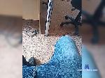 Dollarsc bongacams livecam show performer room profile