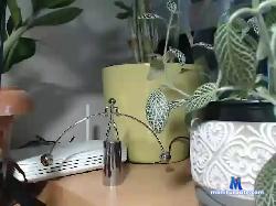 Felix1984Hun bongacams live cam performer profile