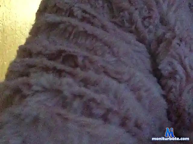 Sexymilashka bongacams performer female