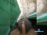 Artem-28a bongacams livecam show performer room profile