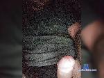 demon203012 bongacams livecam show performer room profile