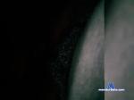 Alexeyf27 bongacams livecam show performer room profile
