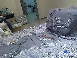 Waldis08 bongacams live cam performer profile