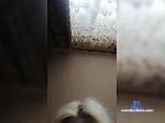 Milena2134567 bongacams livecam show performer room profile