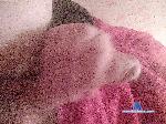 Kotik797979 bongacams livecam show performer room profile
