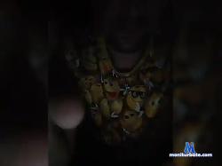 Badboy1727 bongacams live cam performer profile