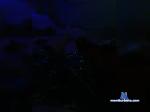 LoveLov22 bongacams livecam show performer room profile