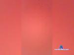 zloiXXXzloi bongacams livecam show performer room profile