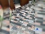 AlexAgK777 bongacams livecam show performer room profile