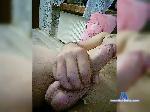 Maksik-35 bongacams livecam show performer room profile