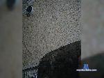 KNika119a bongacams livecam show performer room profile
