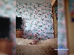 Zemely888 bongacams livecam show performer room profile