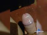 BaNDiT98vip bongacams livecam show performer room profile