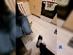 Serjo191090 bongacams livecam show performer room profile