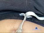Staslavelass bongacams livecam show performer room profile