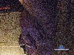 BradleyZentu6 bongacams livecam show performer room profile