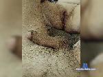 Aleksundera bongacams livecam show performer room profile