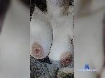 murochka25 bongacams livecam show performer room profile