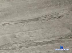 Alexamart21 bongacams live cam performer profile