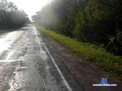 evgecha1 bongacams live cam performer profile