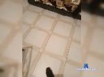 maksimrussia bongacams livecam show performer room profile