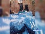 Sexmexx bongacams livecam show performer room profile