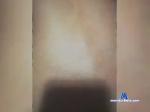 Maximus6666-2 bongacams livecam show performer room profile