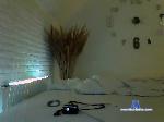 BrainCake bongacams livecam show performer room profile