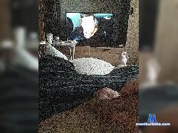 Denihetero bongacams live cam performer profile