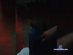 Simbaoo bongacams livecam show performer room profile