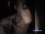 Zlnttt1 bongacams livecam show performer room profile