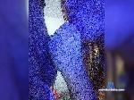 KalliDimitrii bongacams livecam show performer room profile
