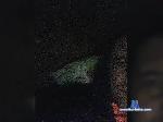 Gannik778 bongacams livecam show performer room profile