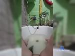 Kris9494s bongacams livecam show performer room profile