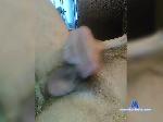 seriesfi bongacams livecam show performer room profile