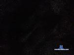 RockMatt bongacams livecam show performer room profile